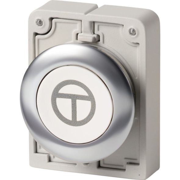 Drucktaste RMQ-Titan M30I-FD-W-X11