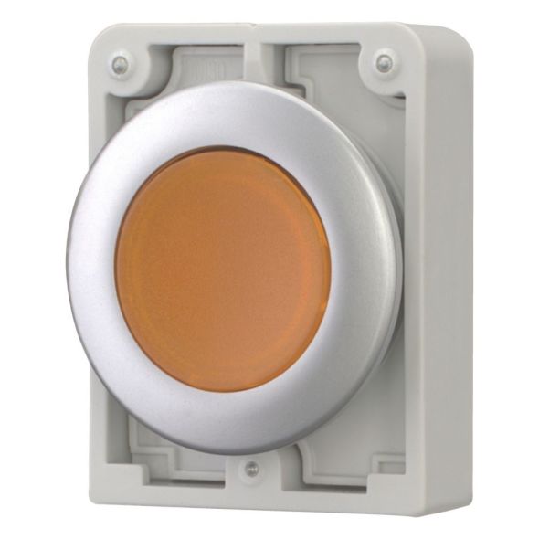 Leuchtdrucktaste RMQ-Titan M30C-FDL-A