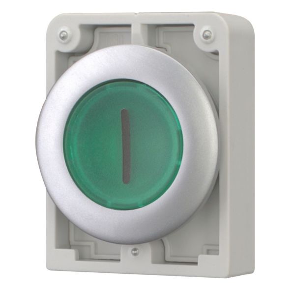 Leuchtdrucktaste RMQ-Titan M30C-FDL-G-X1