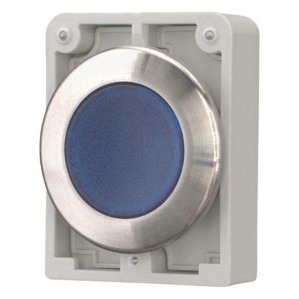 Leuchtdrucktaste RMQ-Titan M30I-FDRL-B