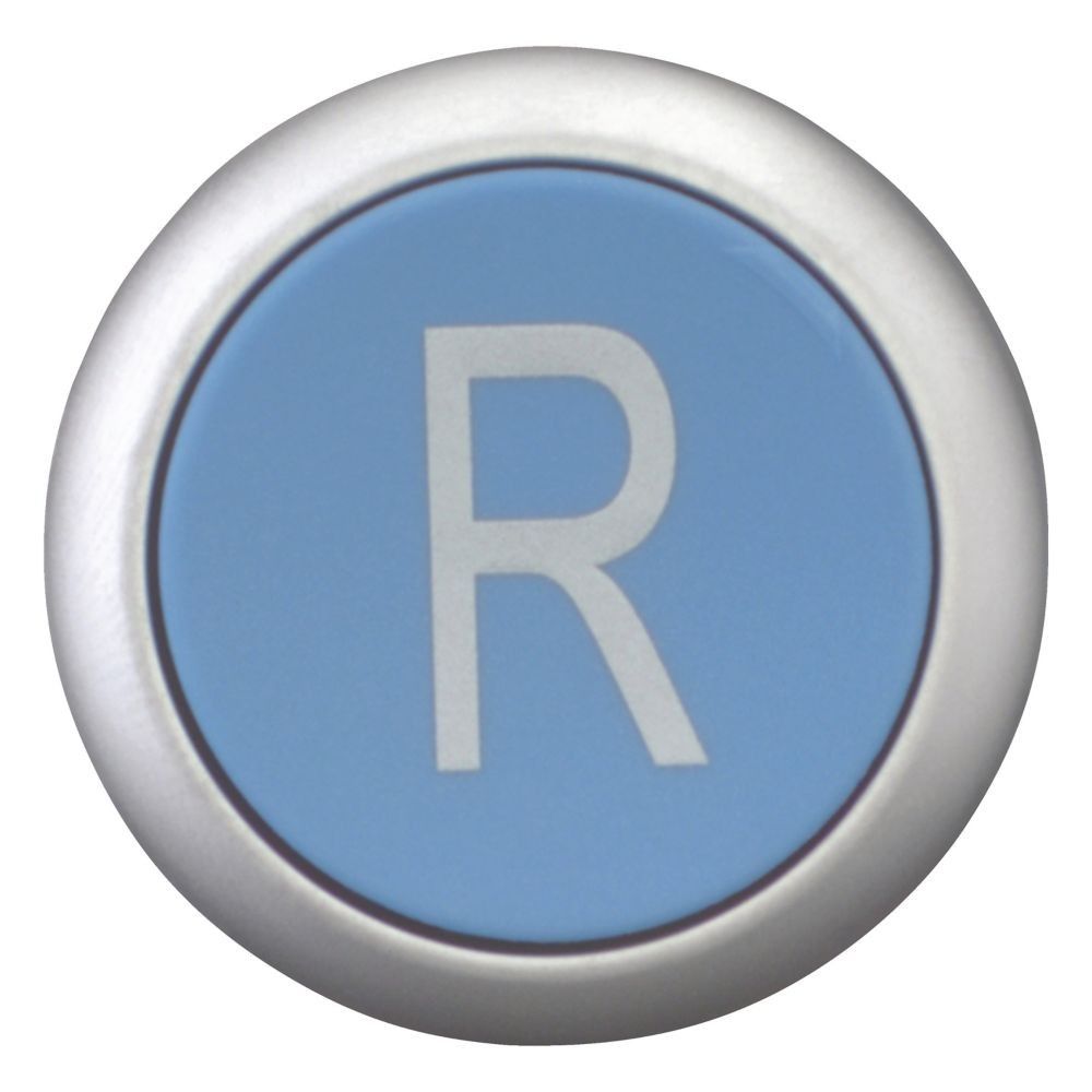 Entsperrungstaste blau R M22-DZ-B-X6