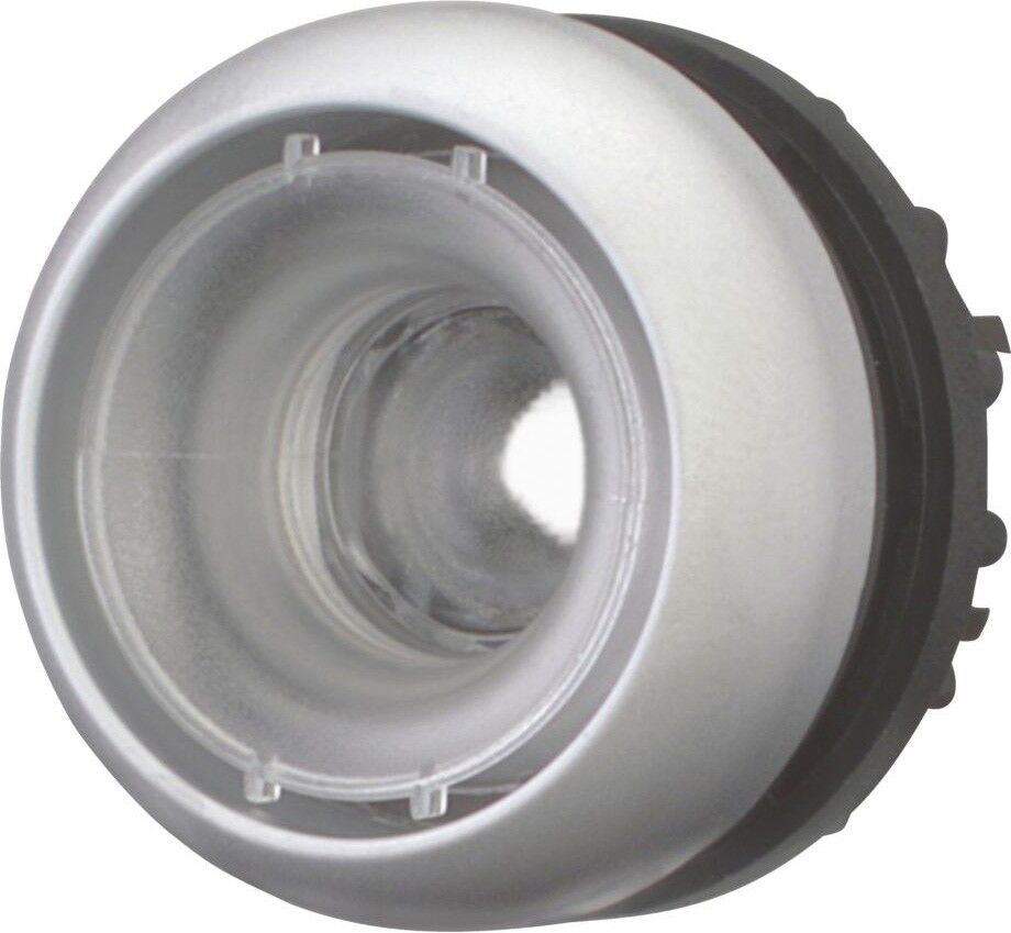 Leuchtdrucktaste M22-DRL-X-GVP