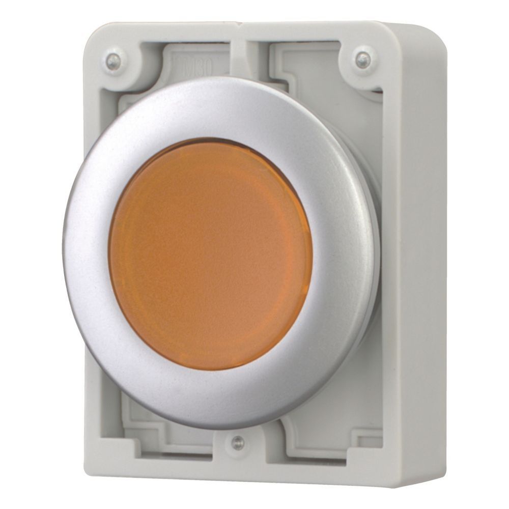 Leuchtdrucktaste RMQ-Titan M30C-FDL-A