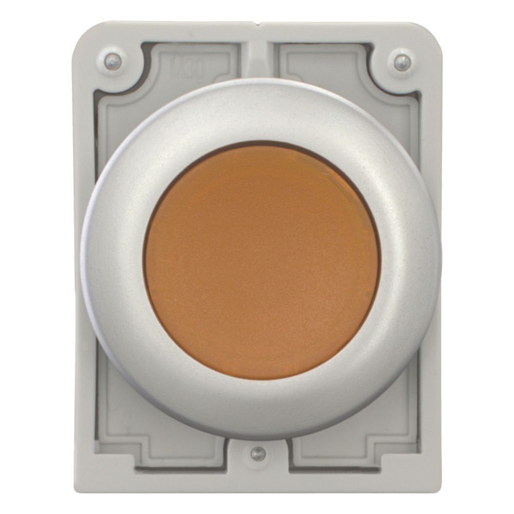 Leuchtdrucktaste RMQ-Titan M30C-FDL-A