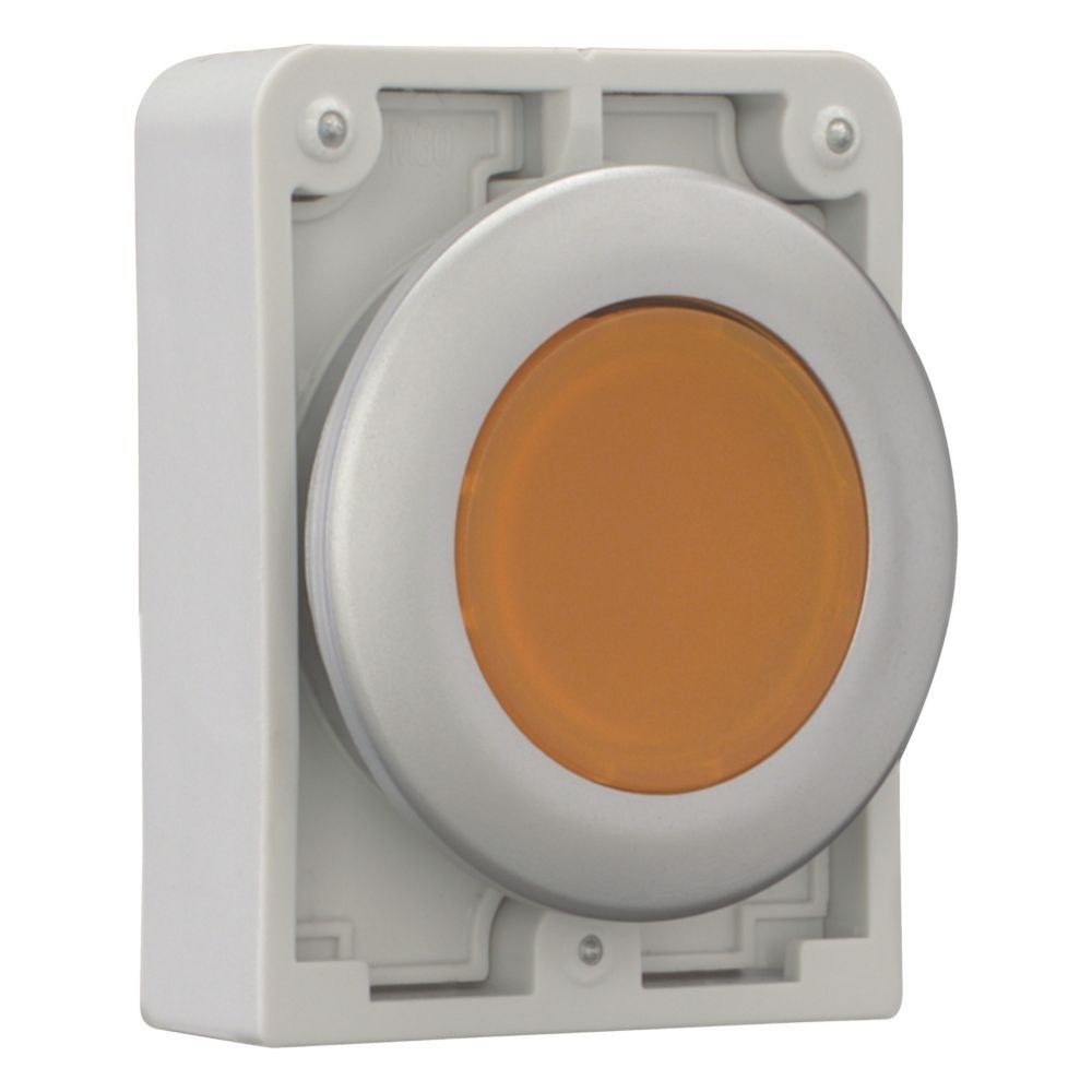 Leuchtdrucktaste RMQ-Titan M30C-FDL-A
