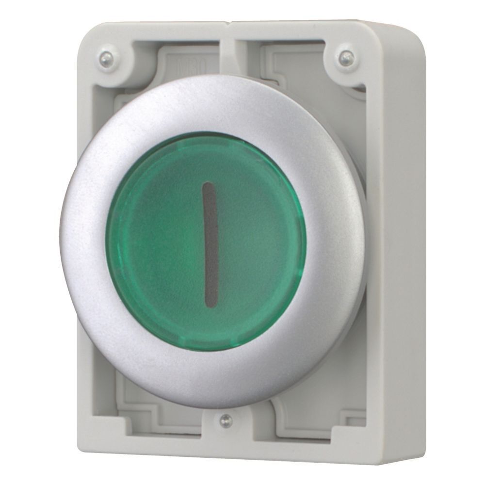 Leuchtdrucktaste RMQ-Titan M30C-FDL-G-X1
