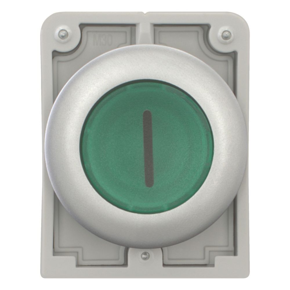 Leuchtdrucktaste RMQ-Titan M30C-FDL-G-X1