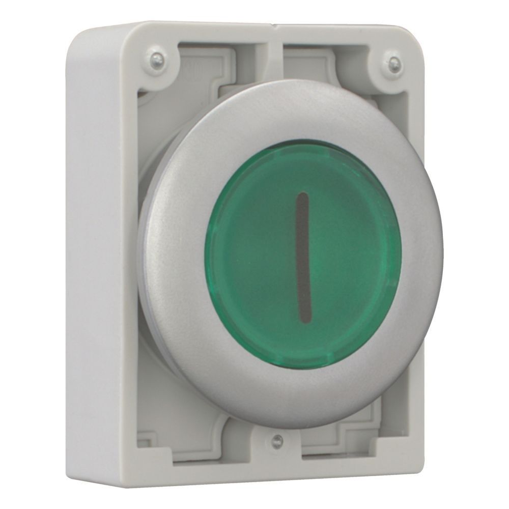 Leuchtdrucktaste RMQ-Titan M30C-FDL-G-X1