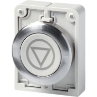 Drucktaste RMQ-Titan M30C-FD-GR-X66