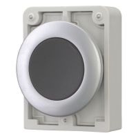 Drucktaste RMQ-Titan M30C-FD-S