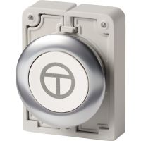 Drucktaste RMQ-Titan M30I-FD-W-X11