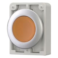 Leuchtdrucktaste RMQ-Titan M30C-FDL-A