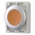 Leuchtdrucktaste RMQ-Titan M30C-FDL-A
