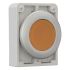 Leuchtdrucktaste RMQ-Titan M30C-FDL-A