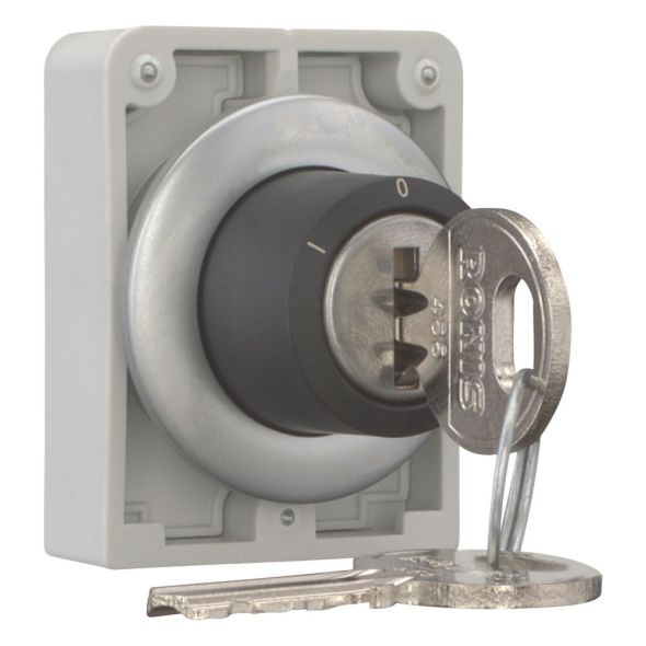 Schlüsseltaste Flat Front M30C-FWRS3-RS-A1