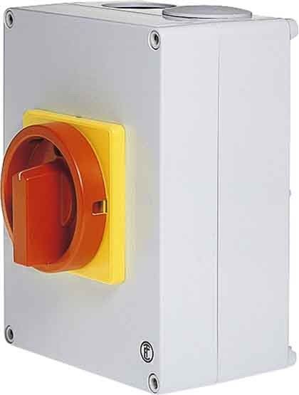 Haupt-Not-Aus-Schalter D2 01/HS-T8/2-D-MRG