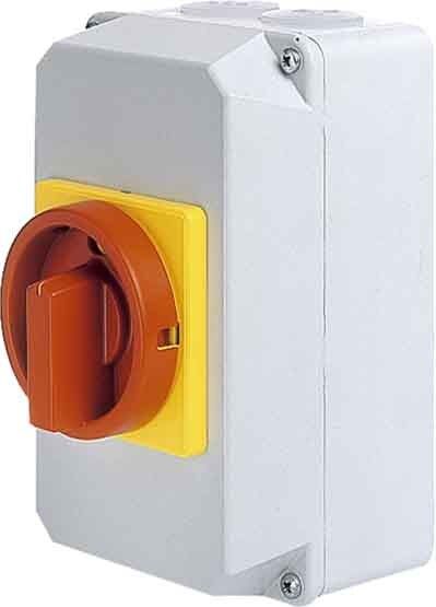 Haupt-Not-Ausschalter D1 01/HS-G32/2-D-MRG
