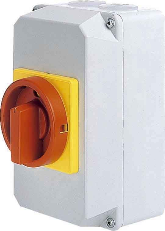 Haupt-Not-Schalter D1 31/HS-G32/2-D-MRG
