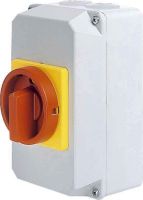 Haupt-Not-Schalter D1 31/HS-G32/2-D-MRG