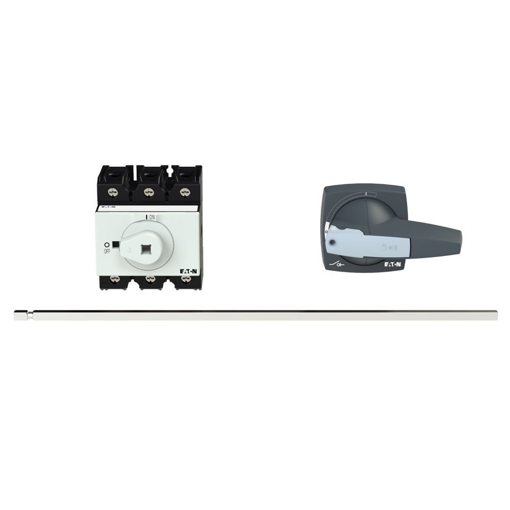 Hauptschalter P3-80/M4/K2-PG