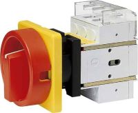 Haupt-Not-Aus-Schalter D3 00/HS-KZF25-D-RG