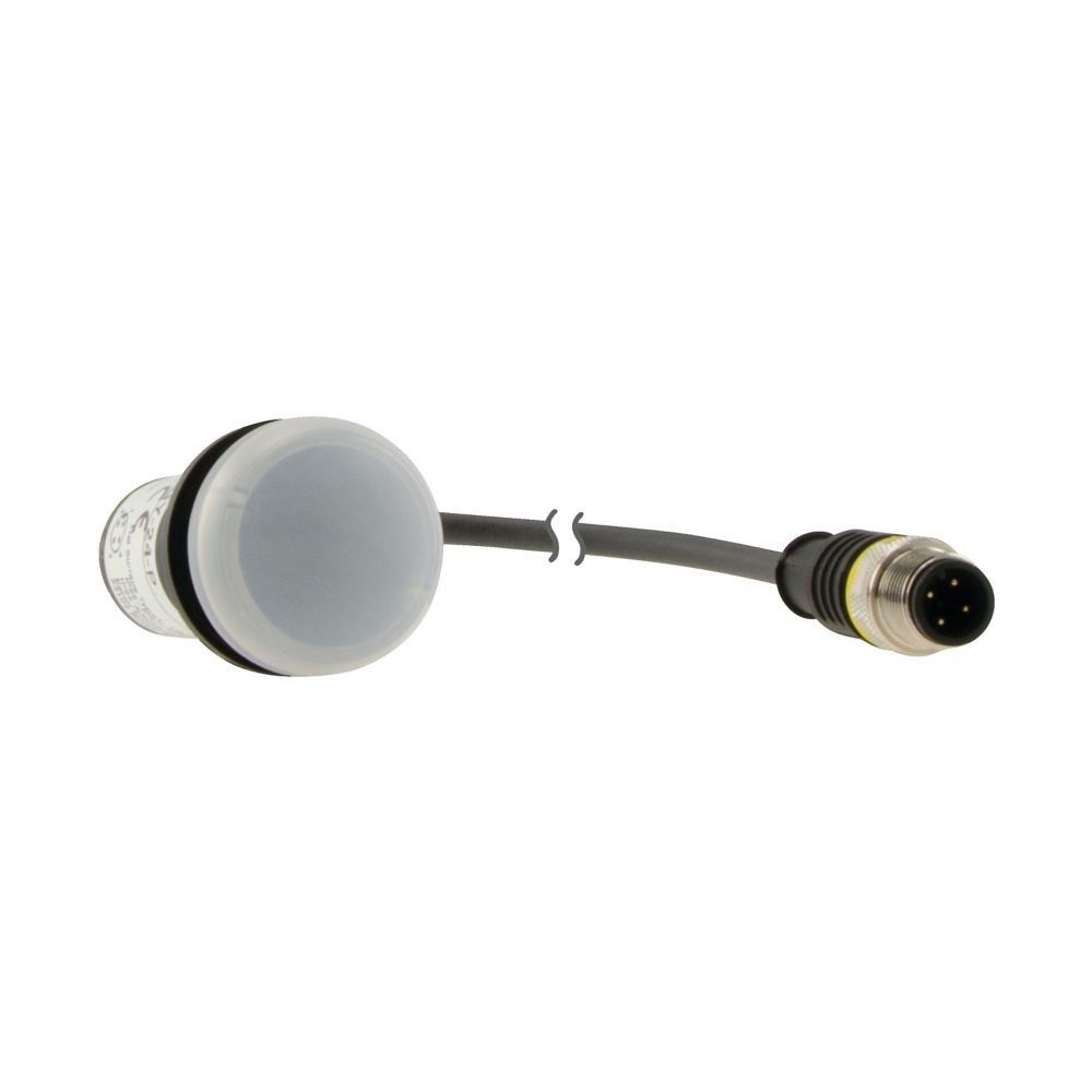 Leuchtmelder 4polig 0.5m C22-L-W-24-P3