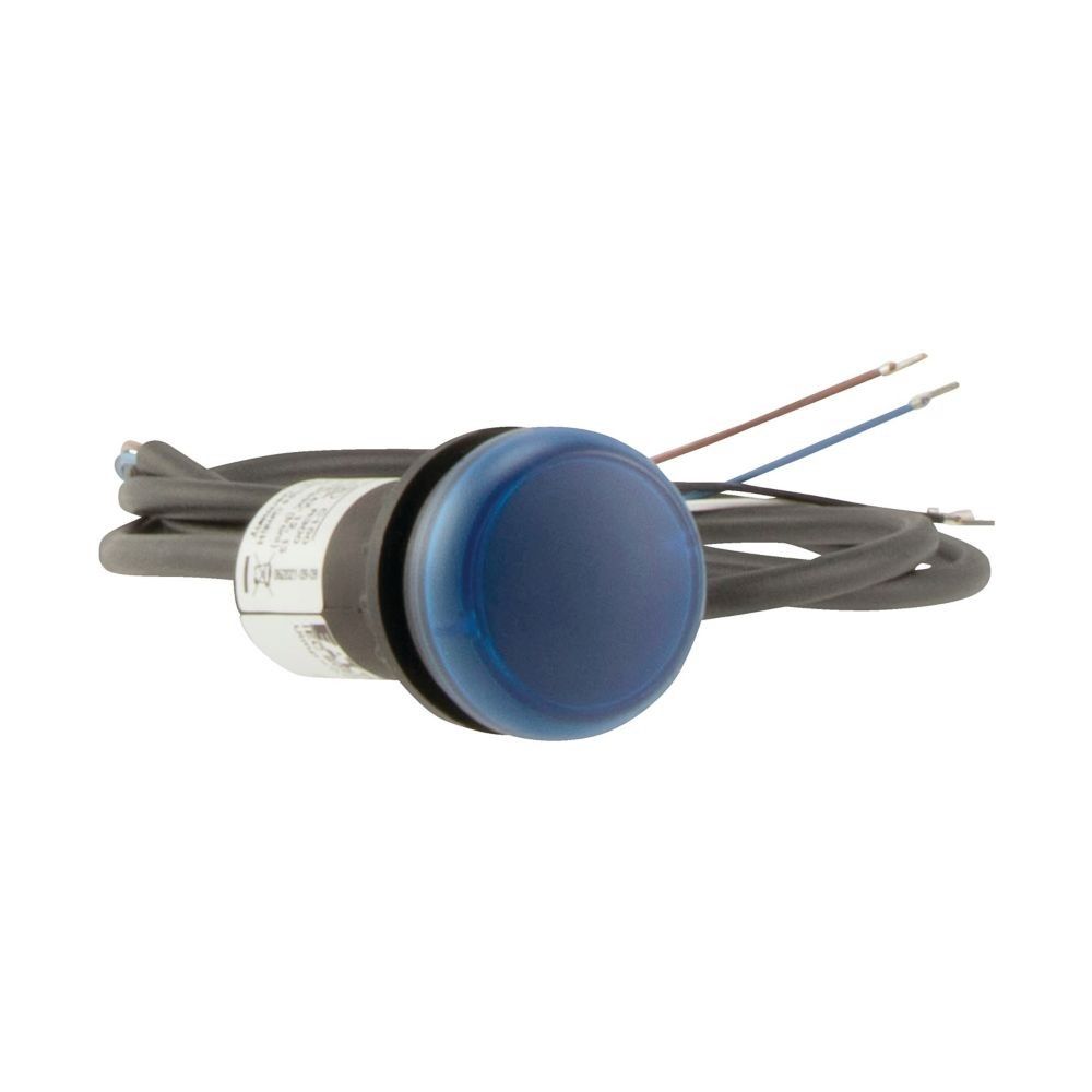 Leuchtmelder 4polig 1m C22-L-B-24-P62