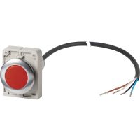 Leuchtmelder 4polig 1m C30C-FL-R-24-P62