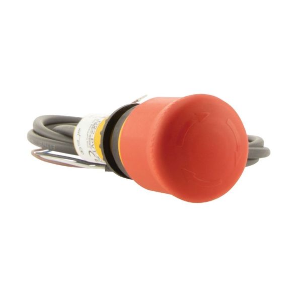 Not-Halt-/Not-Aus-Taste C22-PVT-K02-P62