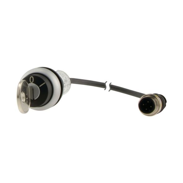 Schlüsseltaste RMQ compact C22-WRS-MS1-K10-P1