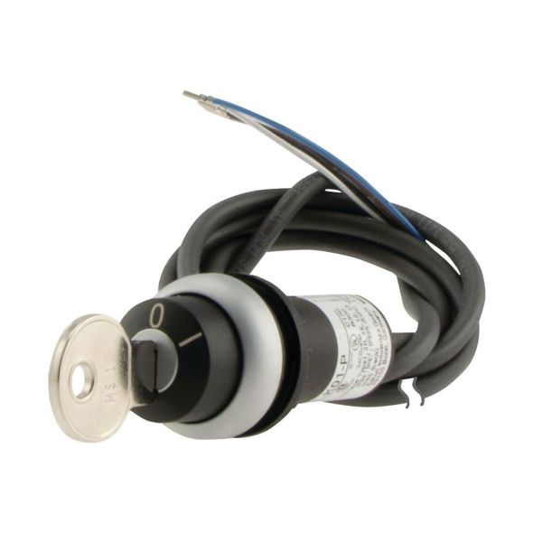 Schlüsseltaste RMQ compact C22-WS-MS1-K01-P62
