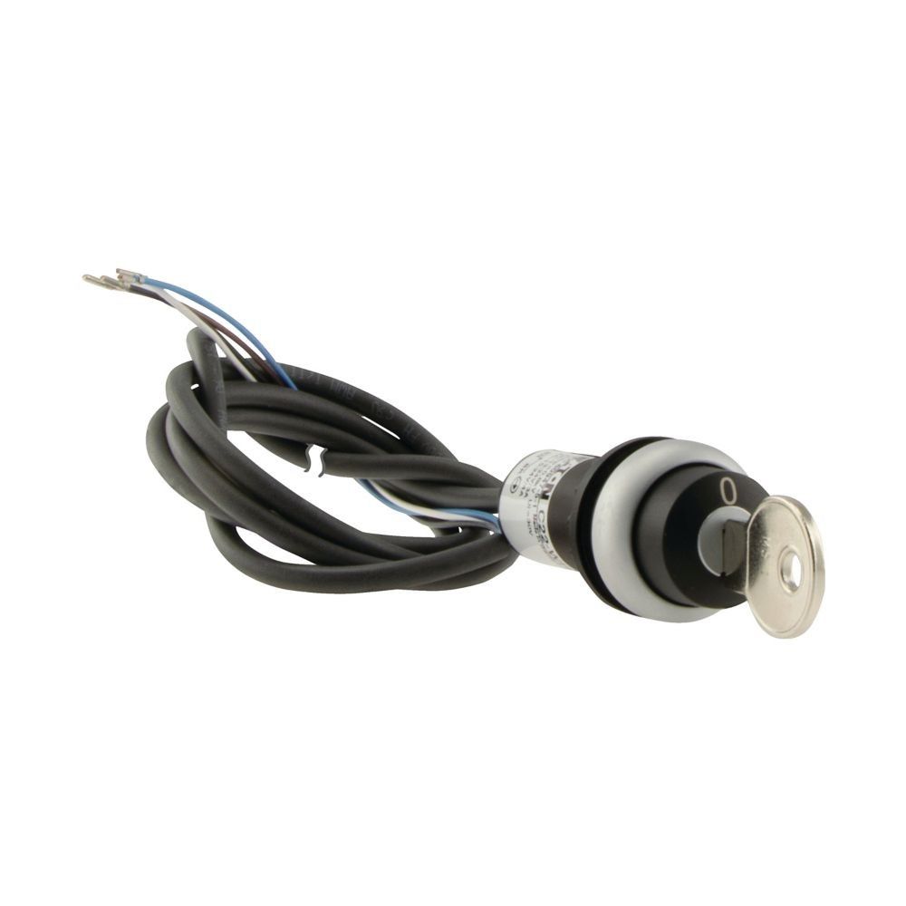 Schlüsseltaste RMQ compact C22-WRS-MS1-K01-P65