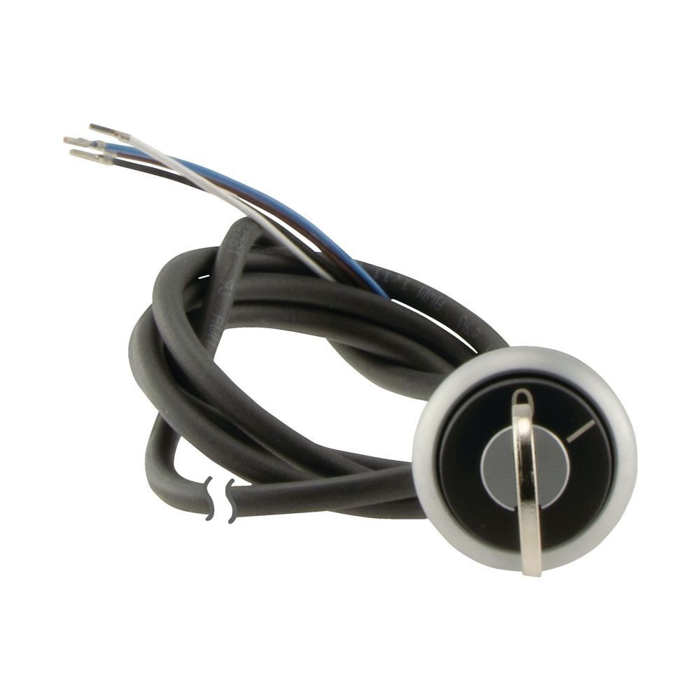 Schlüsseltaste RMQ compact C22-WRS-MS1-K10-P65