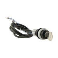 Schlüsseltaste RMQ compact C22-WS-MS1-K01-P62