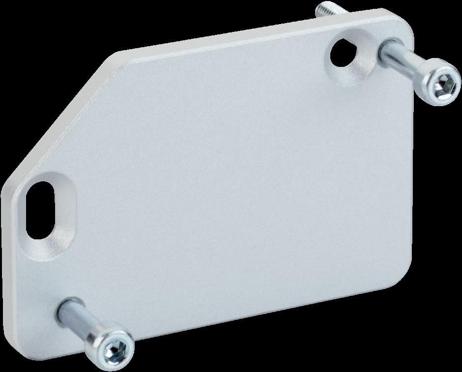 Befestigungsplatte BEF-AP-AS30