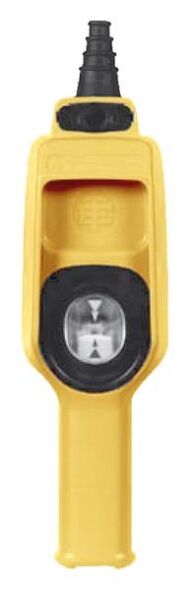 Hängetaster XACD21A1241