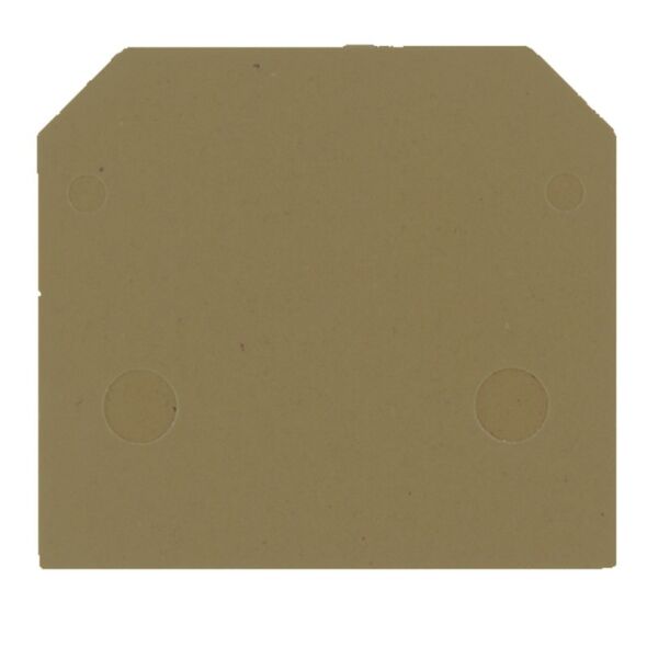 Abschlussplatte AP SAK4-10 DB