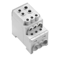 Potentialverteilerklemme WPD 110 1#2603810000