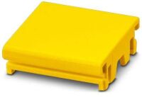 Anschlussblende ICS20-F22S-1018