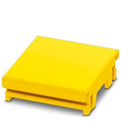 Anschlussblende ICS25-F22S-1018