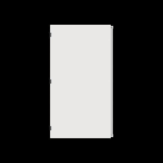 Tür Stahlblech TZB309L
