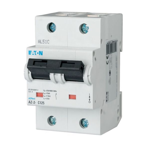 LS-Schalter 100A 2p AZ-2-D100