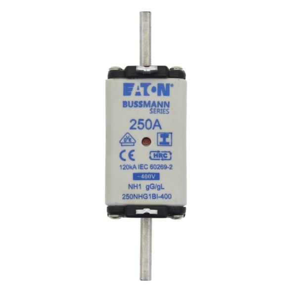 Sicherungseinsatz Nieders. 250NHG1BI-400