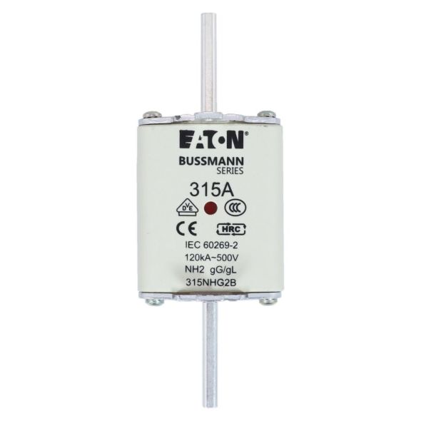 Sicherungseinsatz Nieders. NH FUSE 31#315NHG2B