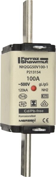 NH-Sicherungseinsatz NH2GG69V100-1