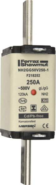 NH-Sicherungseinsatz NH2GG69V300-1