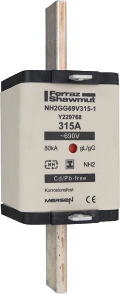 NH-Sicherungseinsatz NH2GG69V315-1