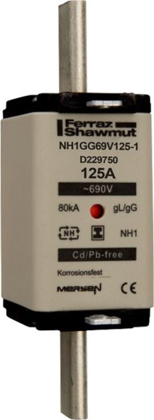 NH-Sicherungseinsatz SG NH1GG69V125-1
