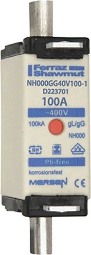Sicherungseinsatz NH gG NH000GG40V100-1