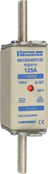 Sicherungseinsatz NH gG NH1GG40V160